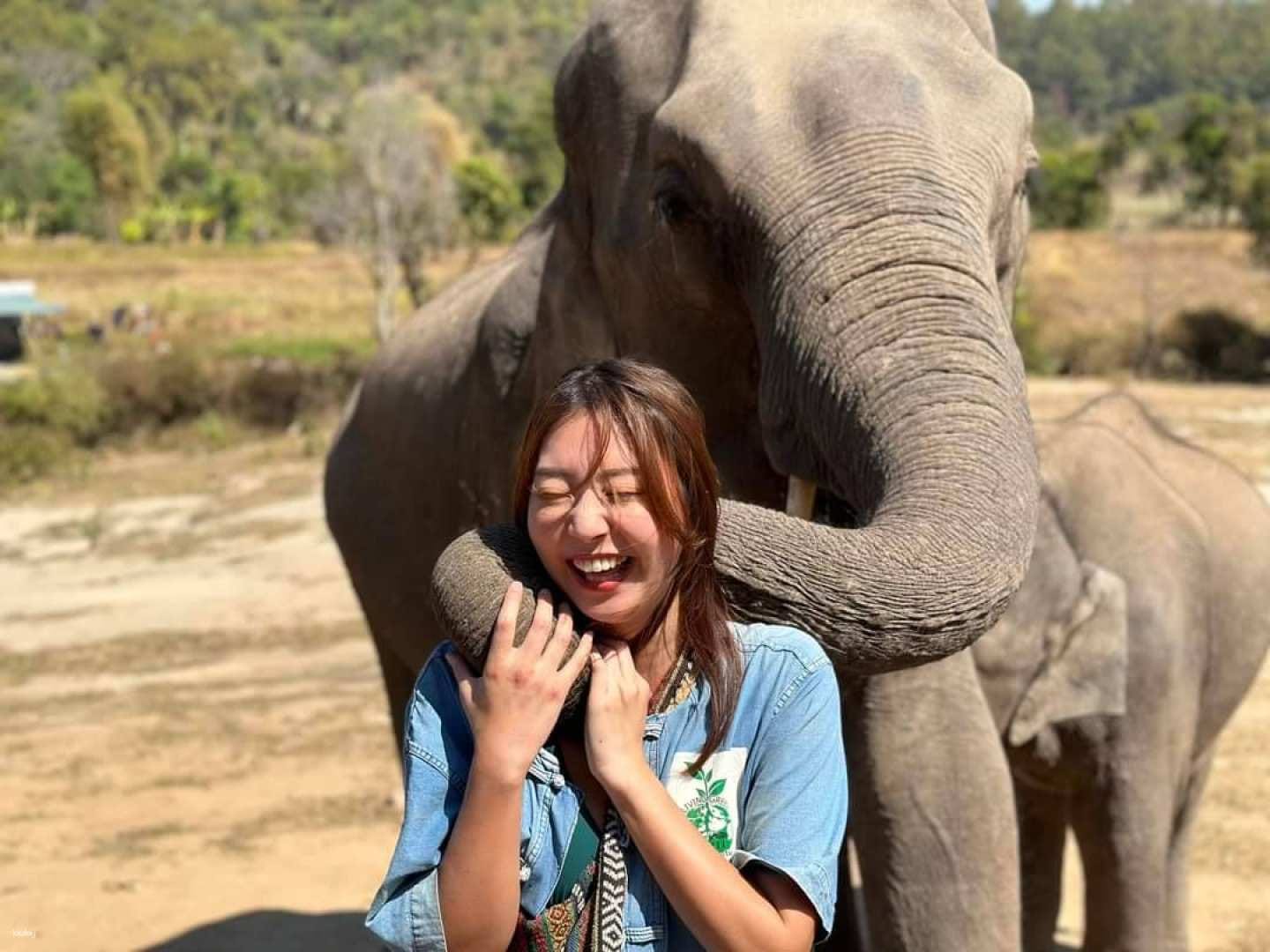 Chiang Mai-Elephant Sanctuary & Inthanon Hiking (Shared Transfer)