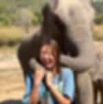 Chiang Mai-Elephant Sanctuary & Inthanon Hiking (Shared Transfer)