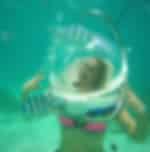 Parasailing, Jet Ski and Sea Walking with shared transfers