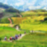 Sa Pa – Lao Chai – Ta Van – Sa Pa PVT