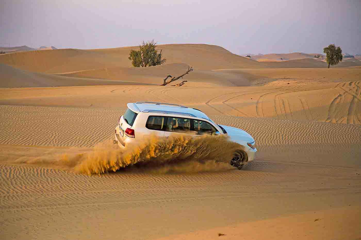 Desert Safari Abu Dhabi with Private Transfers