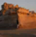 4x4 Deluxe Desert Safari in Abu Dhabi with BBQ Dinner