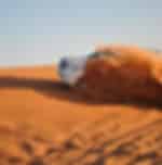 Standard Desert Safari