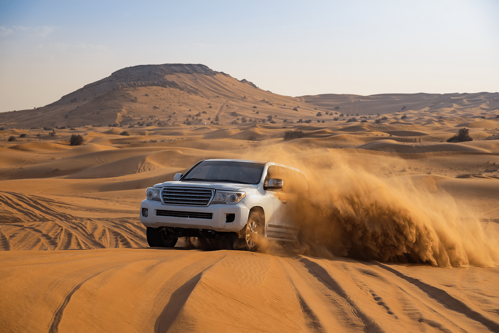 Platinum Wildlife Desert Safari With Private Transfers