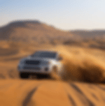 Platinum Wildlife Desert Safari With Private Transfers