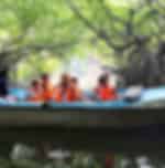 Bentota city tour : Experience Madhu River Ride ,Turtle Hatchery and Water sports