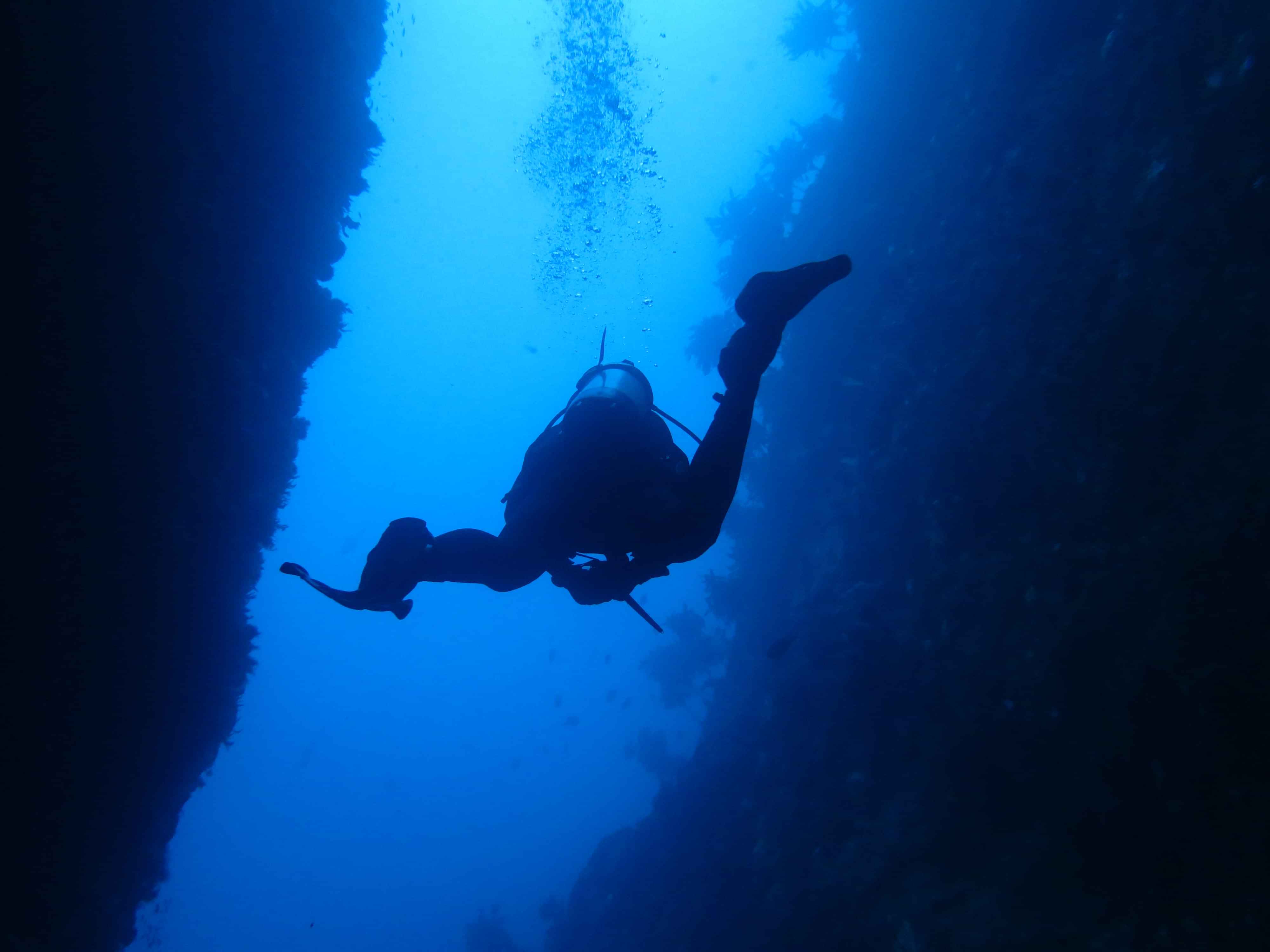 Cathedral Cove Snorkel Tour