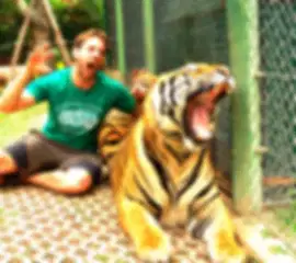 Magnificent 5 day Thailand itinerary for the Honeymoon travellers