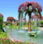Butterfly Garden - Ticket Only