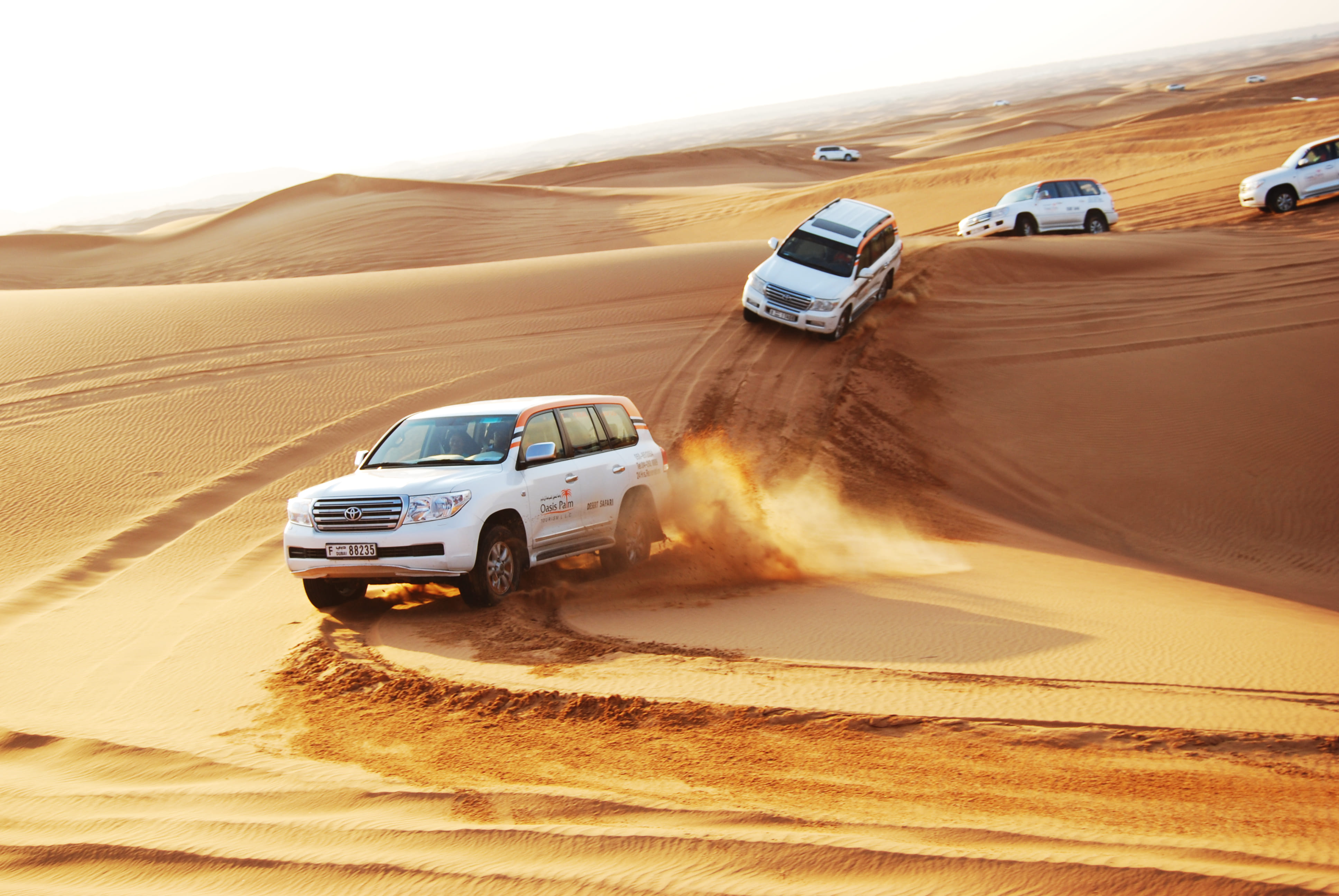 Evening Desert Safari Tour ( Standard )