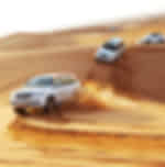 Evening Desert Safari Tour ( Standard )