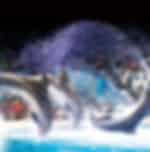 Watch an Incredible Dolphin Show at the Dubai Dolphinarium