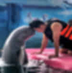 Pattaya- Dolphinarium Regular with Private transfers (Closed on Wednesday) (Enroute)