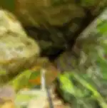 Ella Adventure Tour Ravana Caves, Ravana Falls, Ravana Pool Club and Flying Ravana