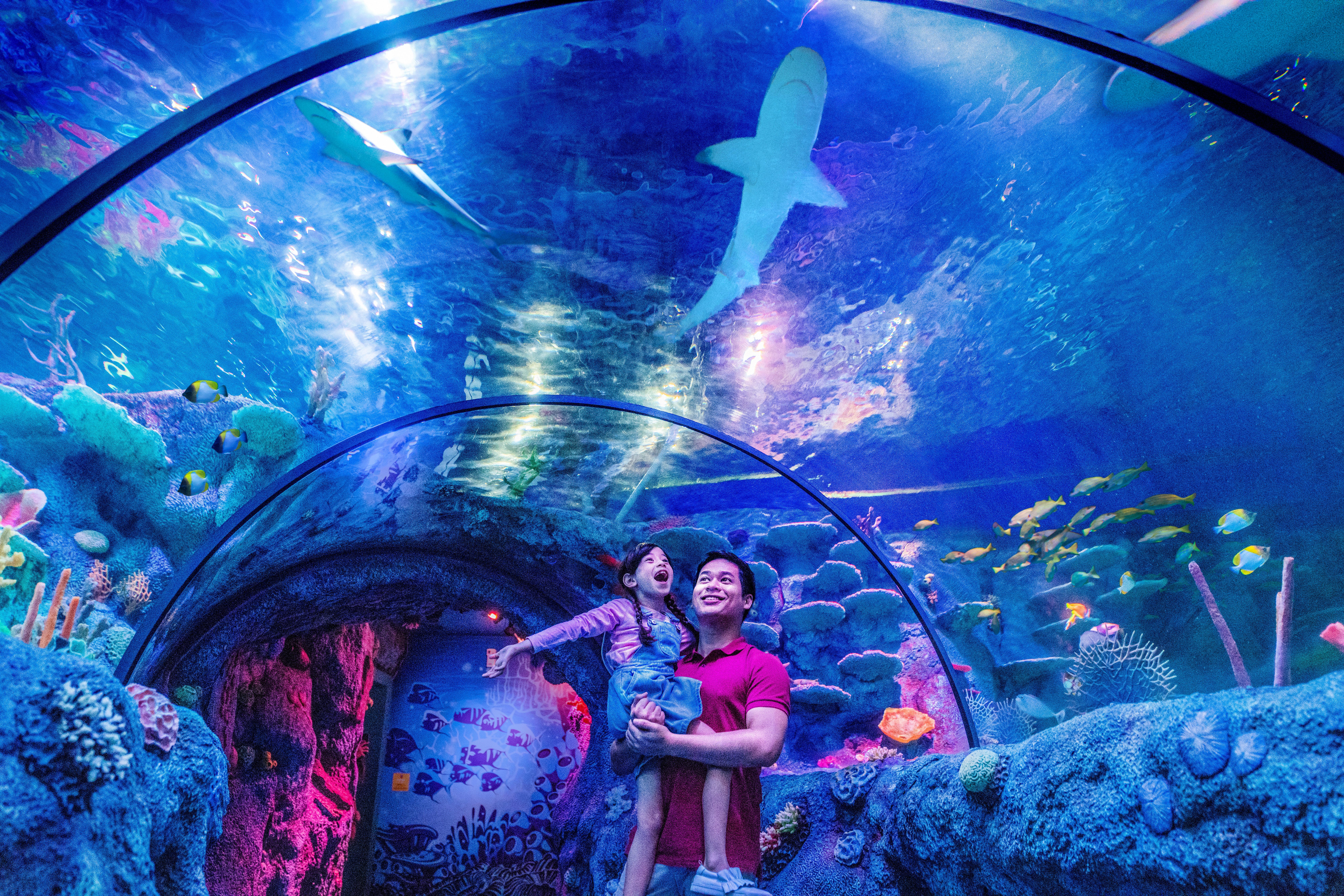 Legoland - 1 day Sea life ticket only