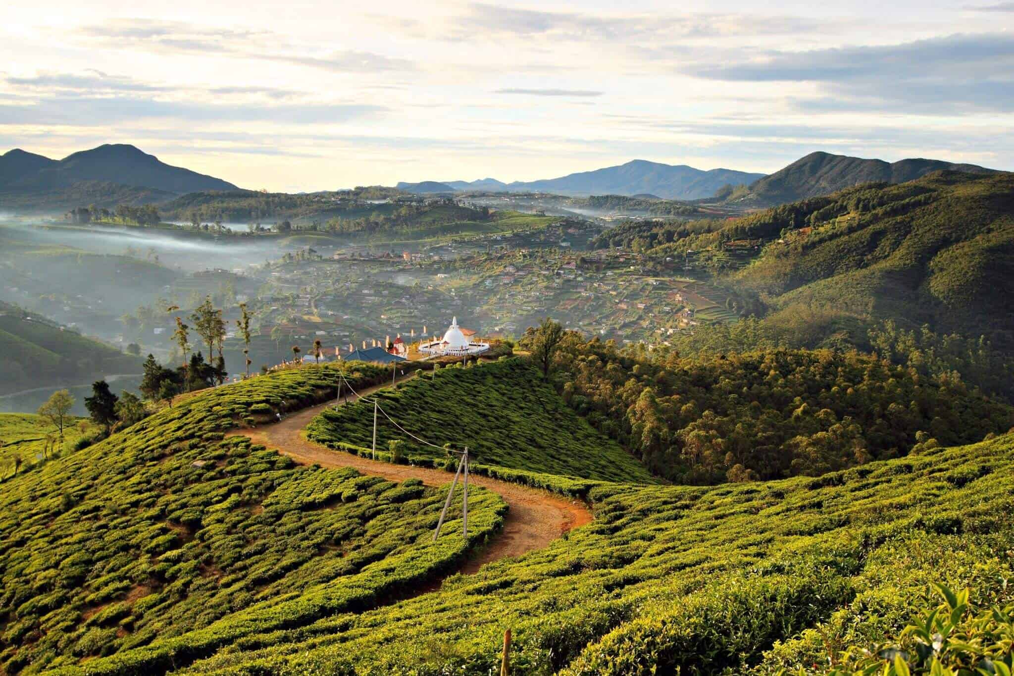Nuwara Eliya City Tour, Gregory Lake, Tea Factory, Hakgala Gardens and Seetha Amman Temple (Only on arrival and deprature day)