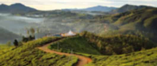 Nuwara Eliya 3 Nights 4 Days Itinerary