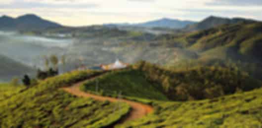 Nuwara Eliya 3 Nights 4 Days Adventure Itinerary