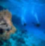 Scuba Dive With Private Transfers