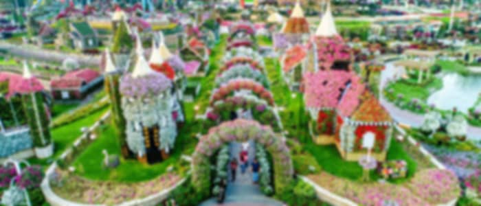 Combo - Global Village AND Miracle Garden - shared transfer