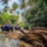 Koh Samui-ATV Tour 1 Hour With Shared Transfers