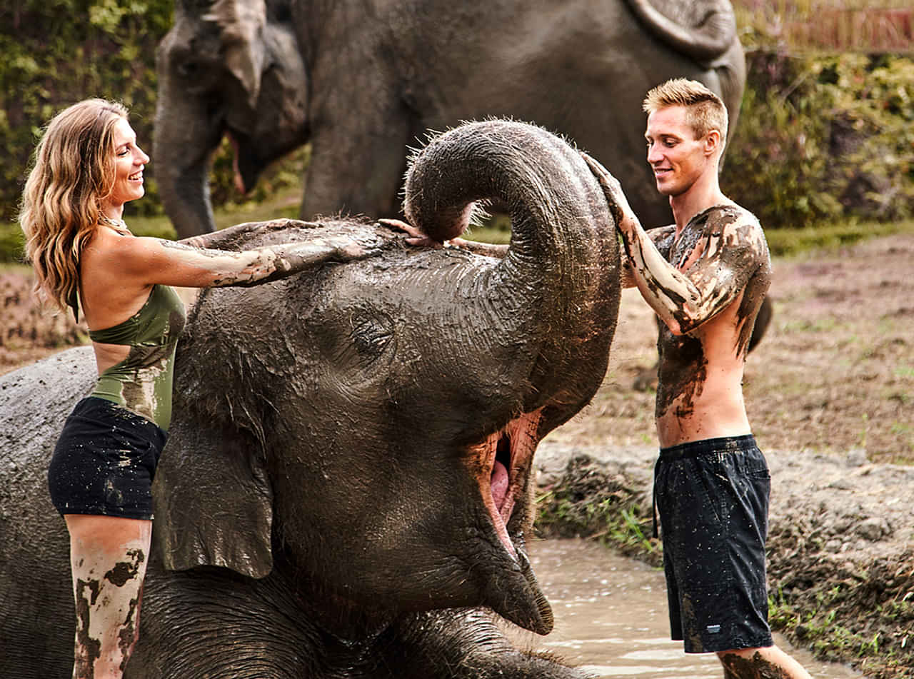 Elephant Jungle Sanctuary Phuket Half Day Visit