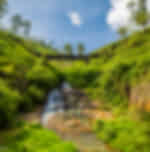 Nuwara Eliya City Tour