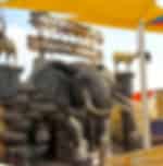Emirates Park Zoo Tour