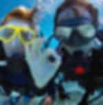 Snorkeling Excursion