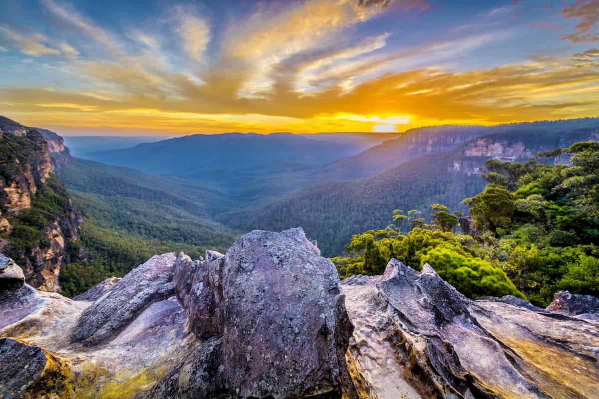 Blue Mountains – where cricket fever meets nature’s calm