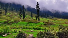 Srinagar 2 Nights 3 Days Family Itinerary
