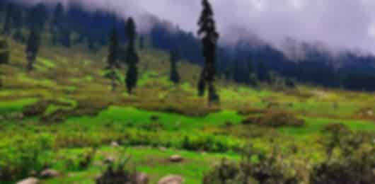 Srinagar 4 Nights 5 Days Group Itinerary