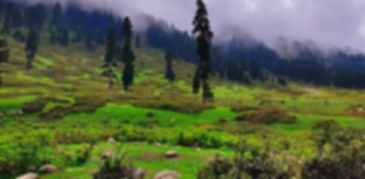 Srinagar 4 Nights 5 Days Group Itinerary