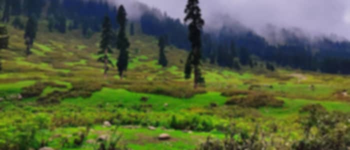 Day Trip to Doodhpathri