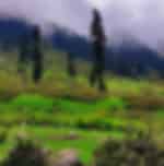 Day Trip to Doodhpathri