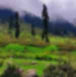 Day Trip to Doodhpathri