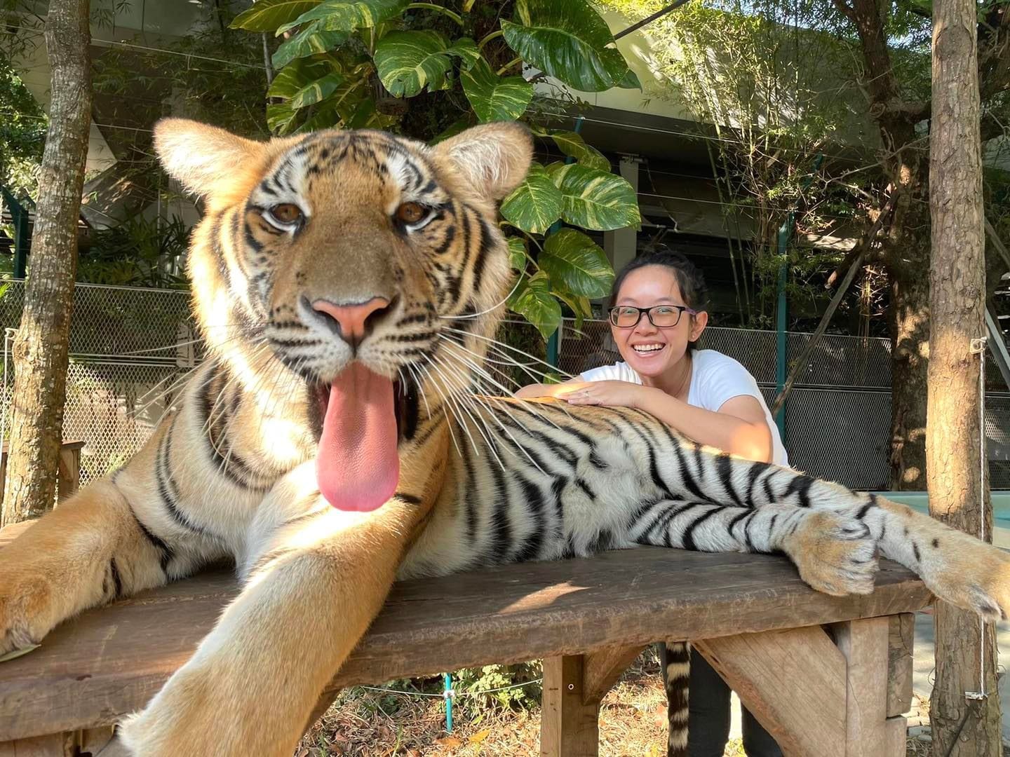Phuket-Tiger Park - Smallest (Entry with Private Transfer) on enroute