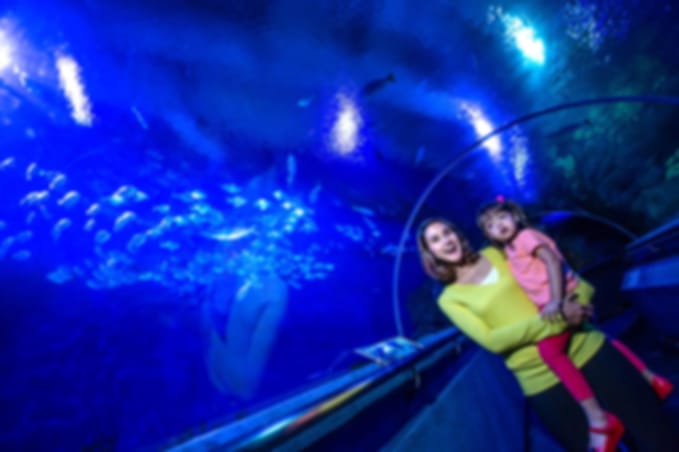 Visit Aquaria KLCC with Kuala Lumpur Evening Street Food & Souvenir Walk: A Culinary Stroll Through the Heart of the City