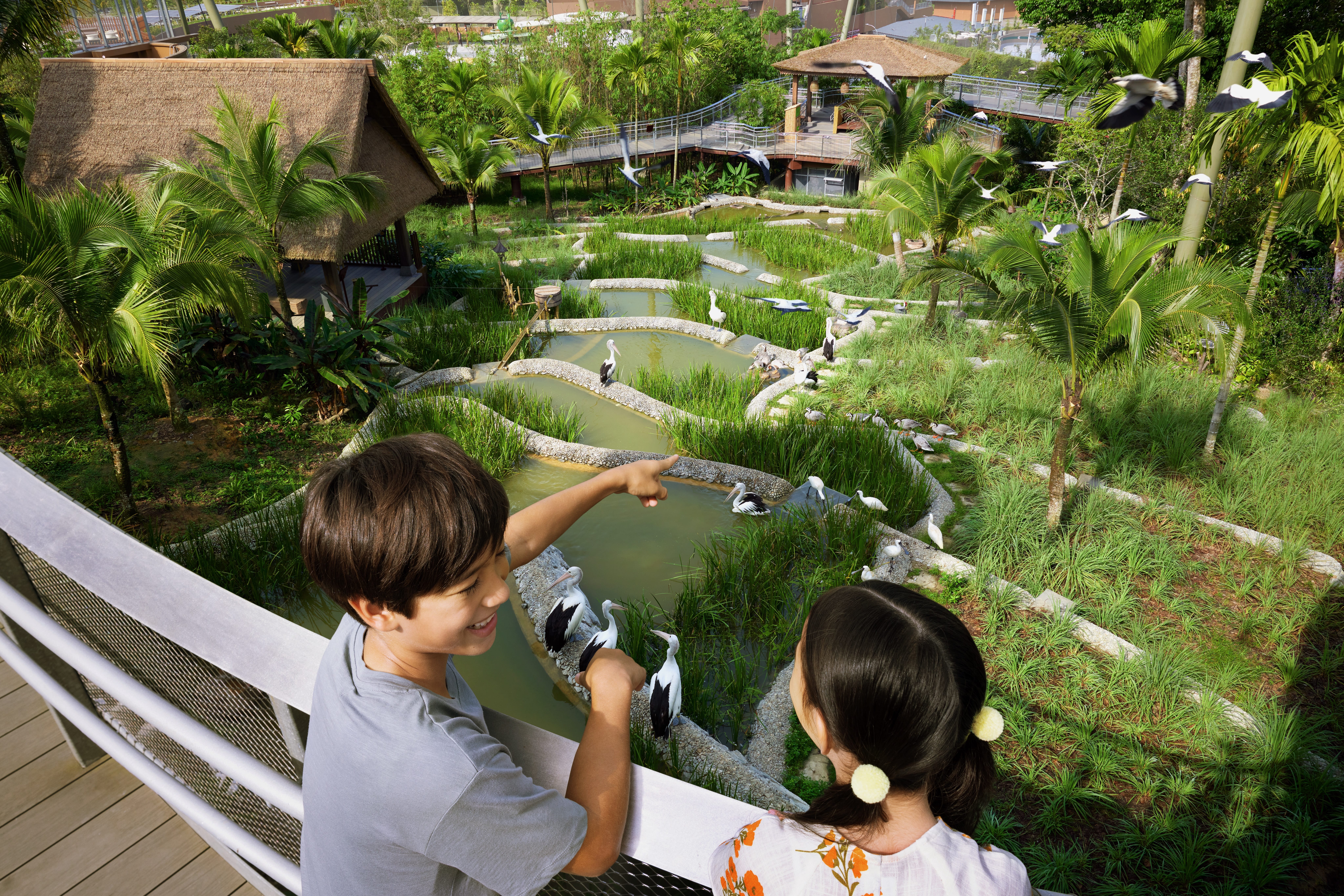  Bird paradise - Admission only -  Bird paradise - Admission only