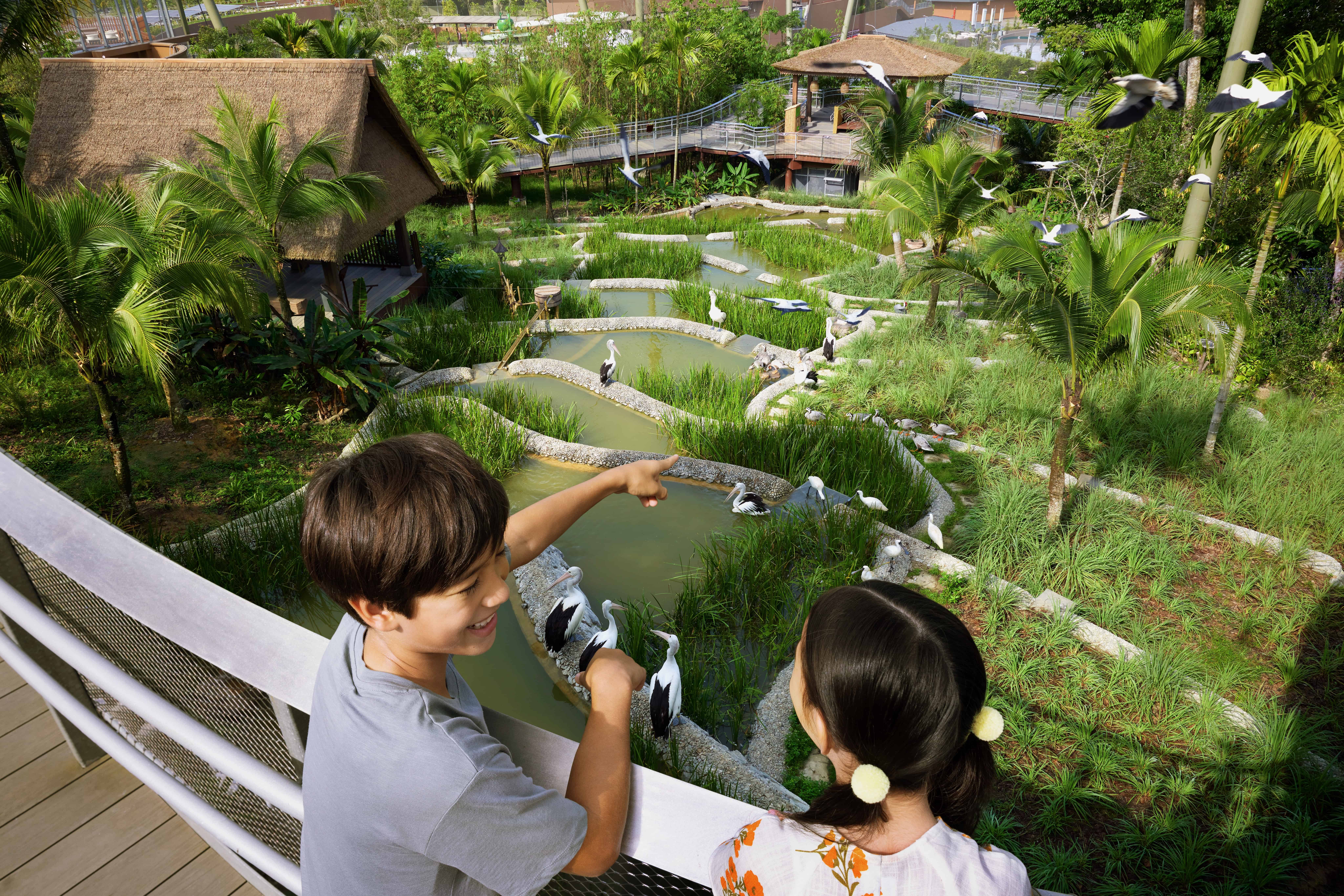  Bird paradise - Admission only