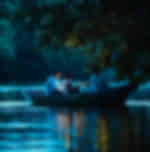 Kuala Selangor Fireflies (include boat ride & dinner at local restaurant) with Shared transfers