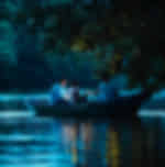 Kuala Selangor Fireflies (Include Boat Ride & Dinner At Local Restaurant) With Shared Transfers