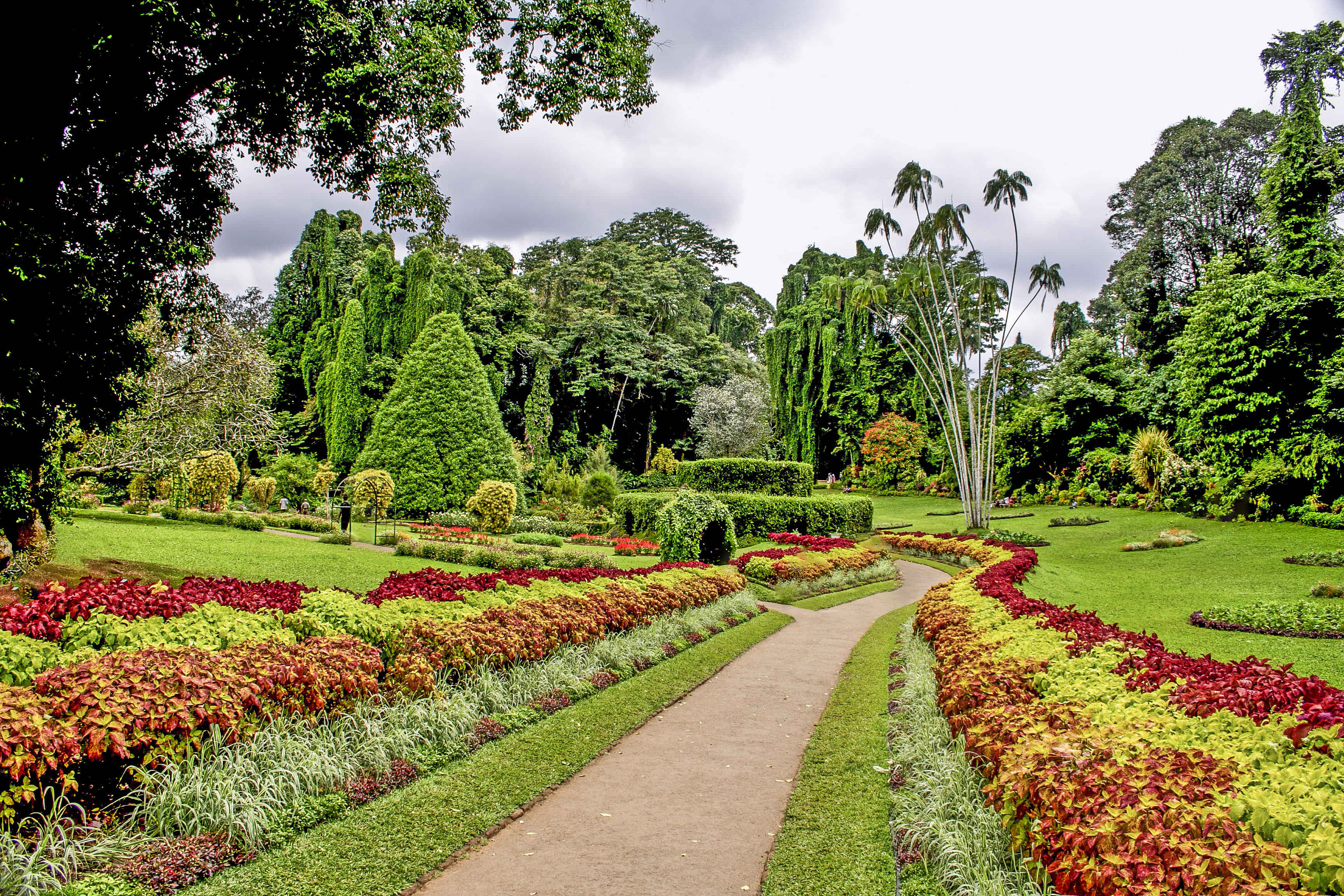 Peradeniya Botanical Gardens (2 Hours) - PVT Transfers