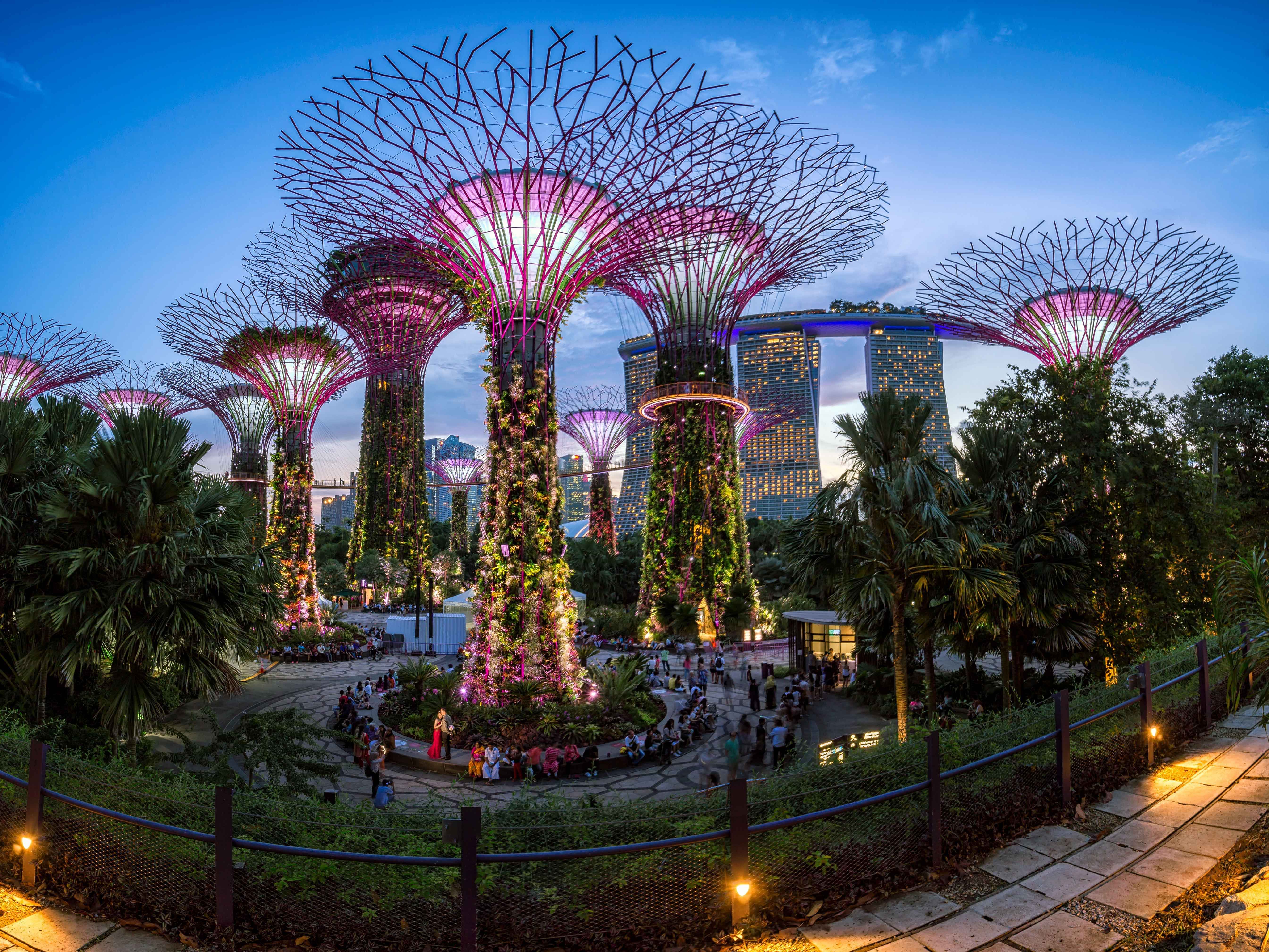 MBS + Gardens By The Bay (Cloud and Super tree Observatory) and Singapore Flyer with Time Capsule - Private Transfers