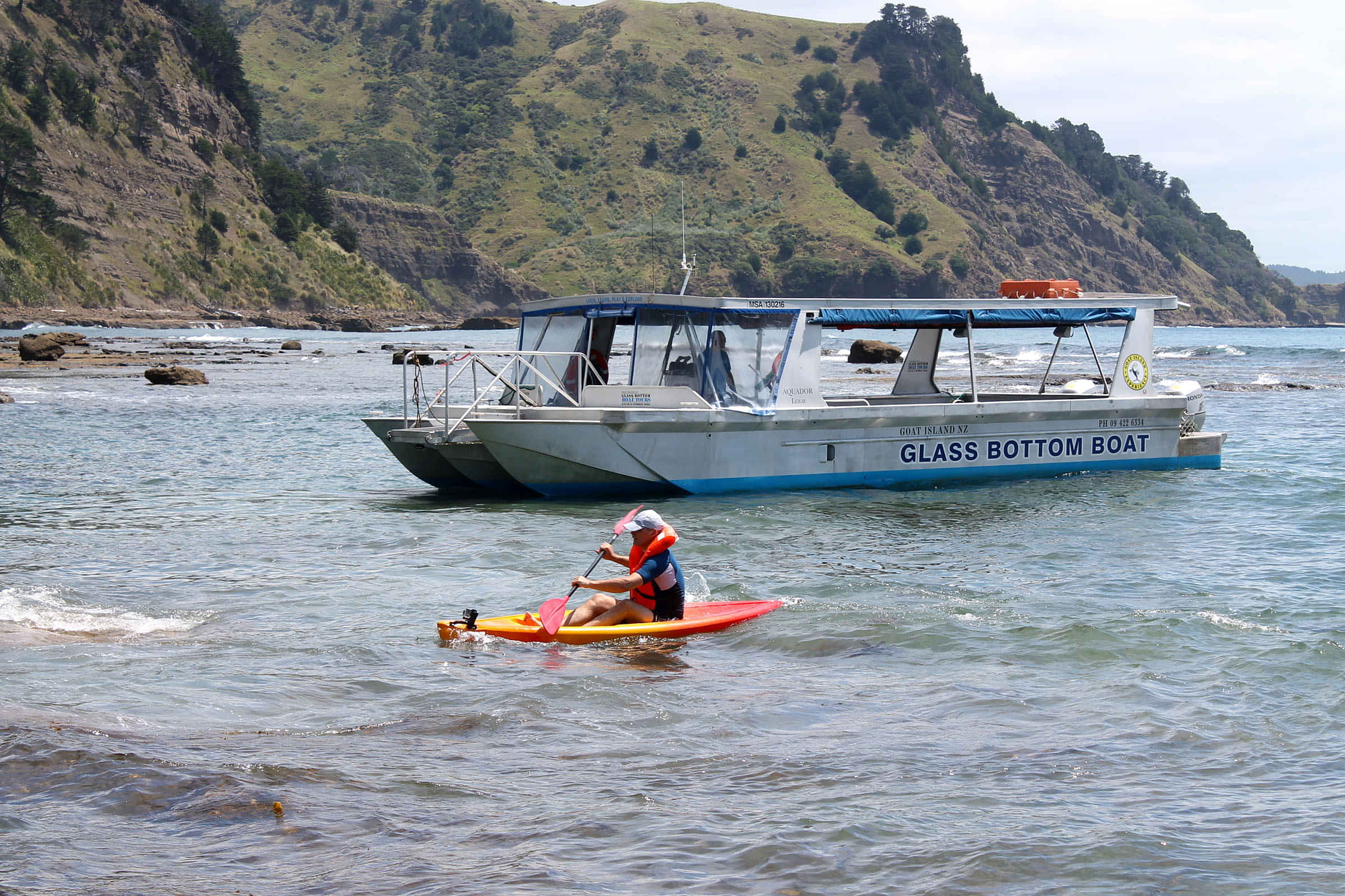 Glass Bottom Bottom at Goat Island Marine Reserve