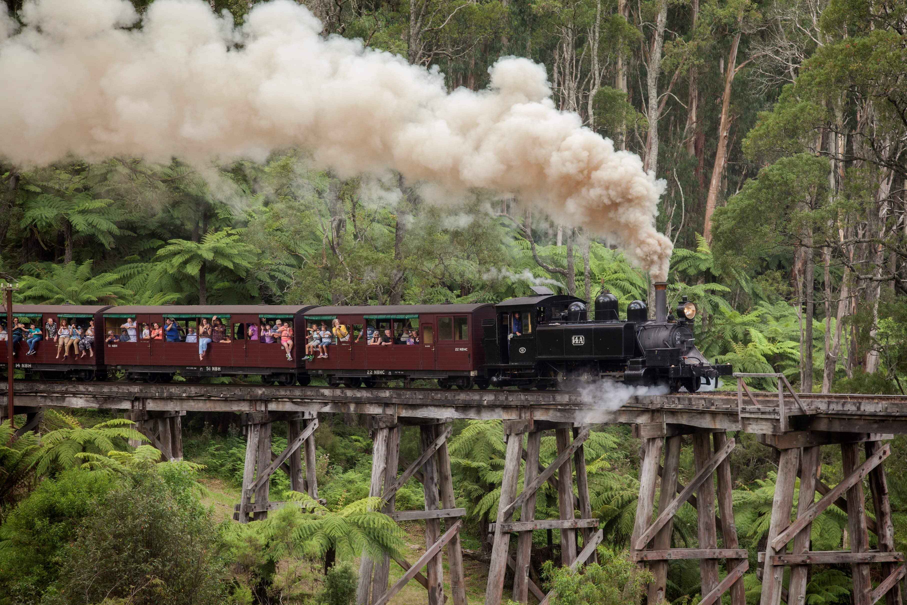 1 Day Healesville Sanctaury, Dandenong Ranges, Puffing Billy & Penguins Tour