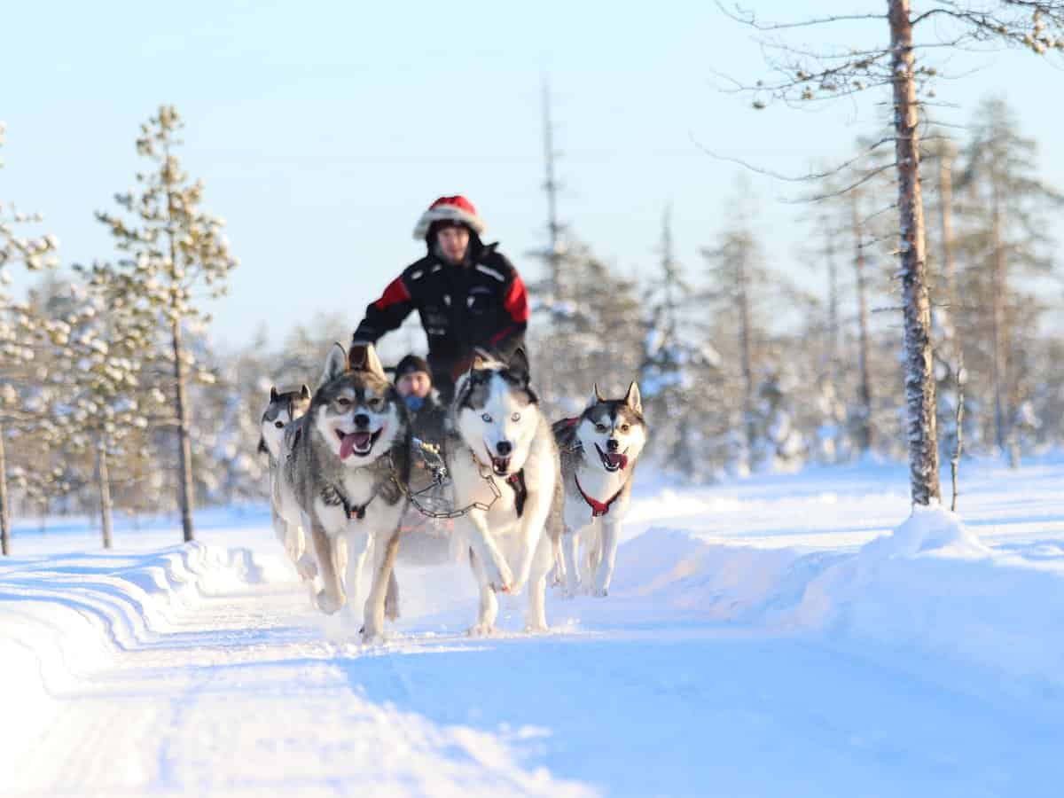 Husky Park (return transfers)