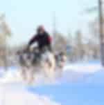 Husky Park (return transfers)