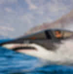 Hydro attack shark ride