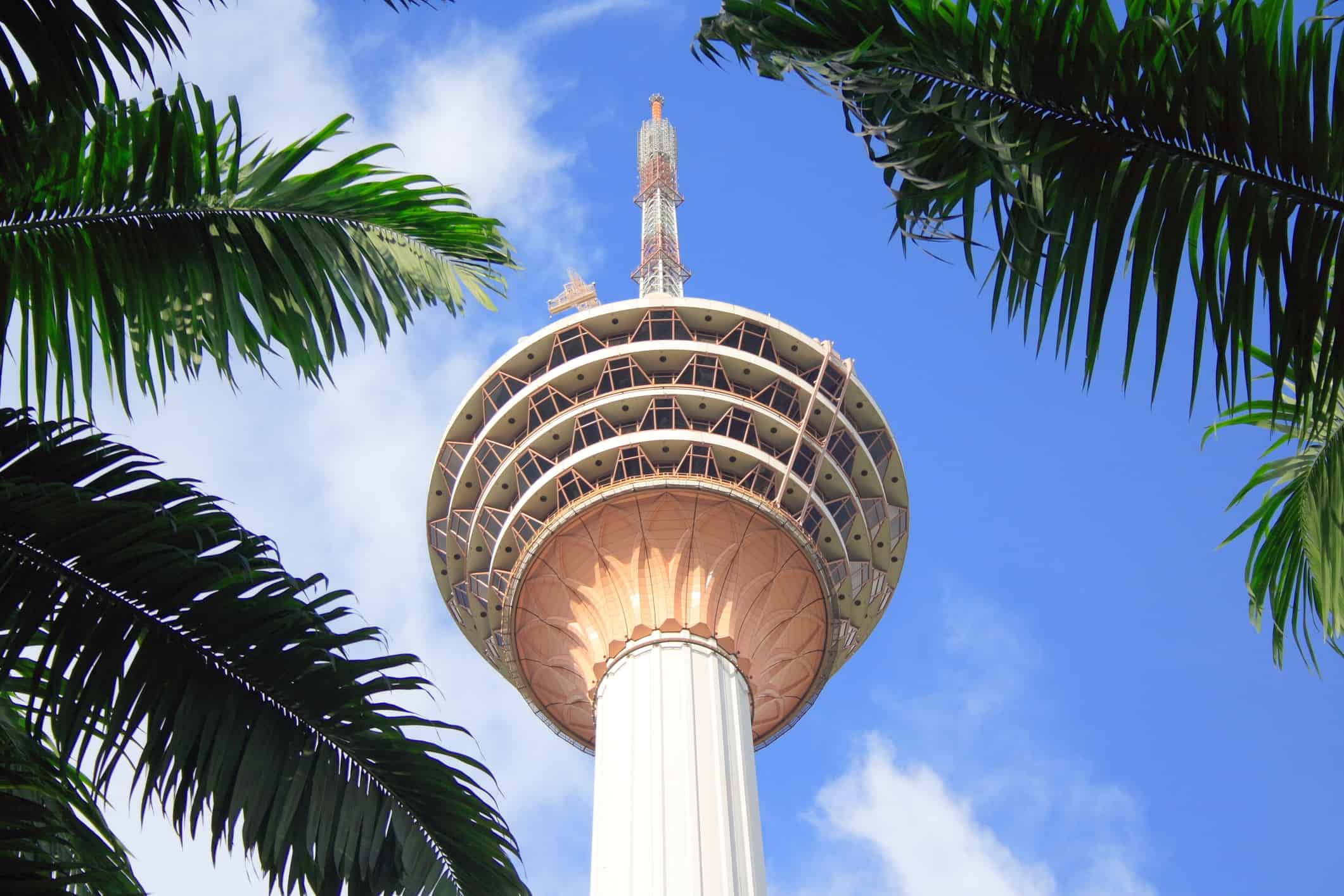 Night Tour with Indian Dinner and KL Tower Observation Deck in Private Transfers